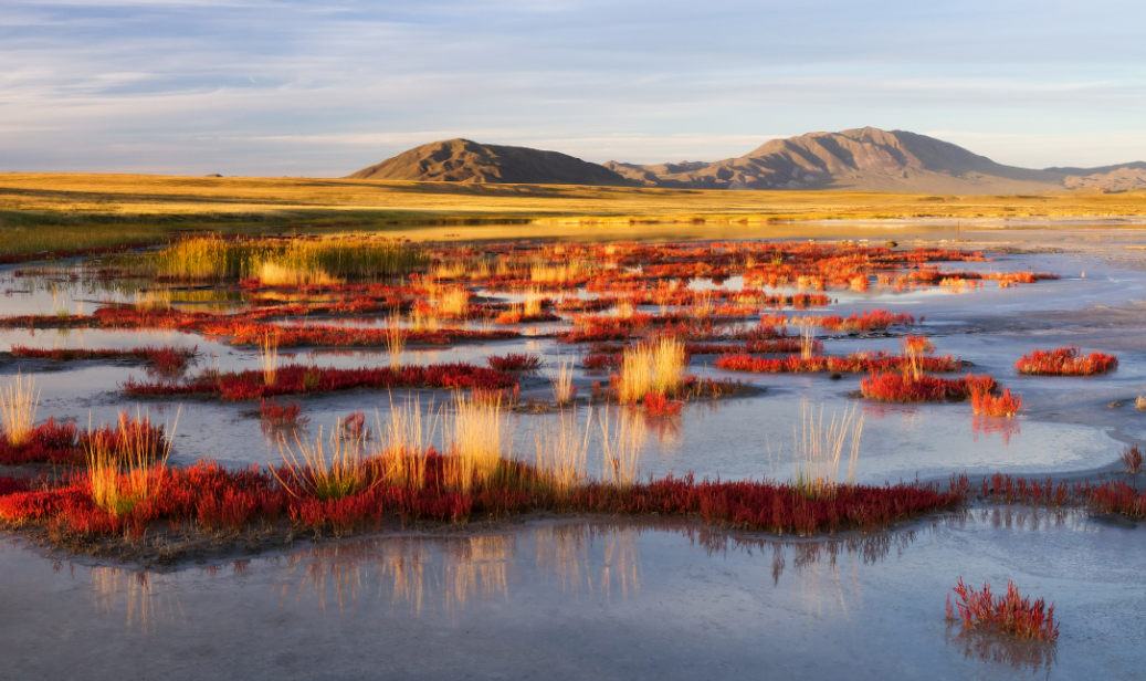 Uvs Lake Basin, Uvs Province (Northwest), Mongolia